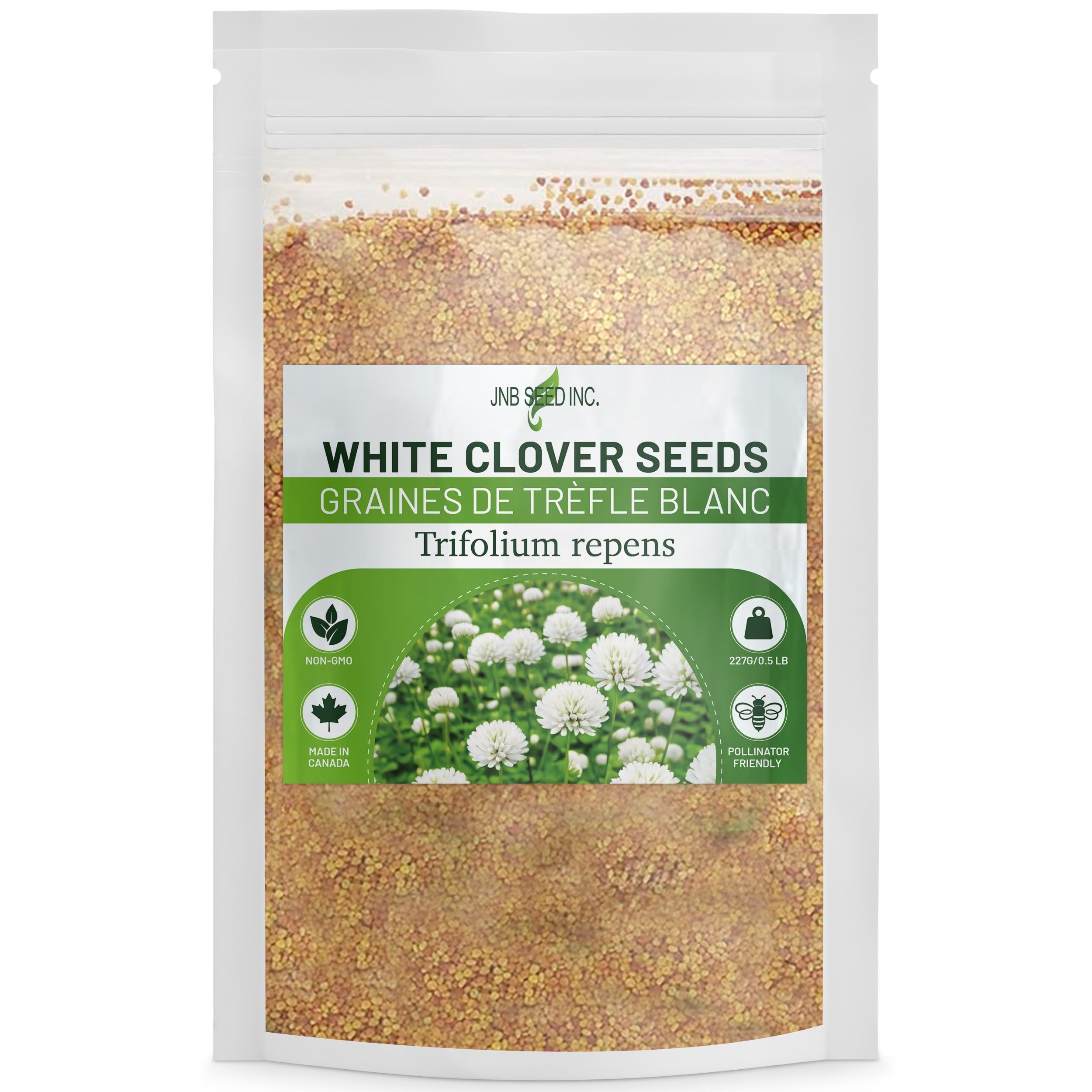 White Clover Seeds (227 Grams/ 0.5 lb) for Canada – Pollinator